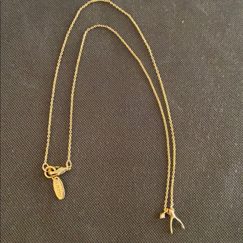 Wishbone necklace with diamond crystal charm